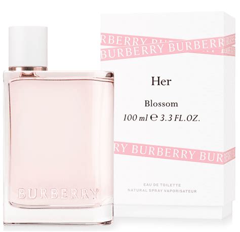 burberry 香港|Burberry perfume in hong kong.